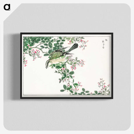 1-27_Pictorial-Monograph-of-Birds_blk-crop