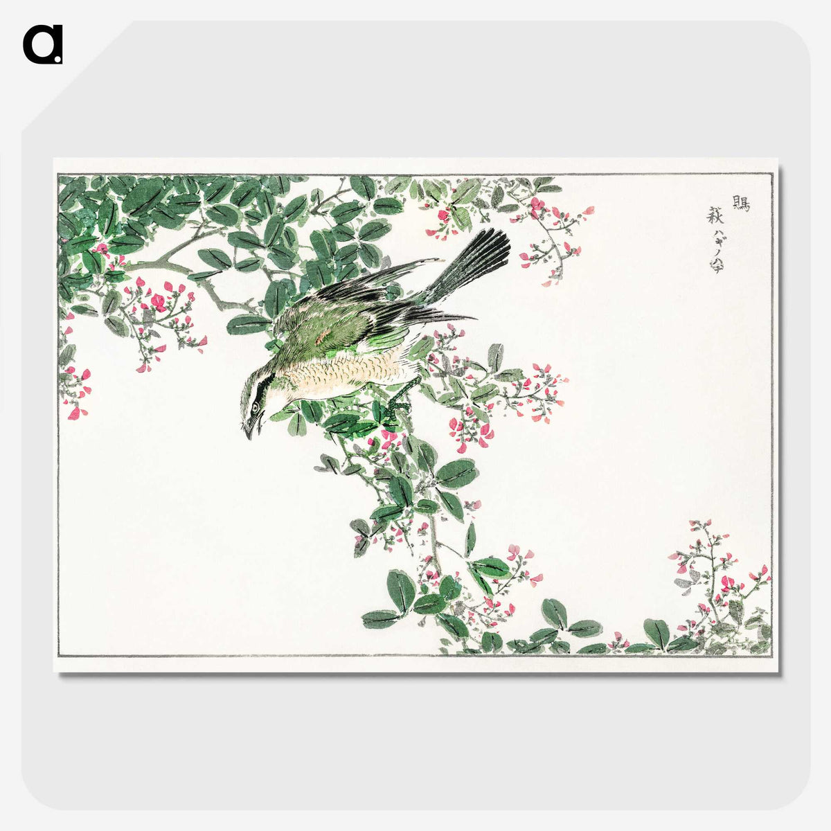 1-27_Pictorial-Monograph-of-Birds_picture-crop