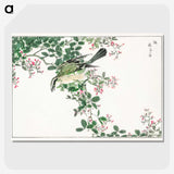 1-27_Pictorial-Monograph-of-Birds_picture-crop