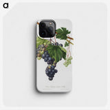 1-27_Pomona-Italiana_phone
