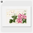 1-27_Seiyo-Soka-Zufu_picture