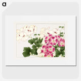 1-27_Seiyo-Soka-Zufu_picture