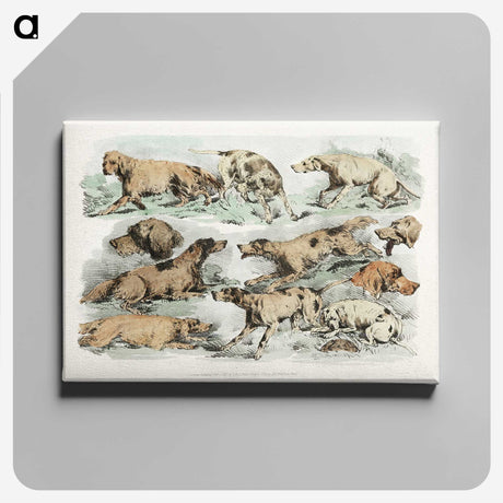 1-27_Sporting-Sketches_canvas