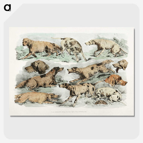 1-27_Sporting-Sketches_picture-crop