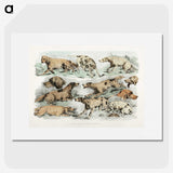 1-27_Sporting-Sketches_picture