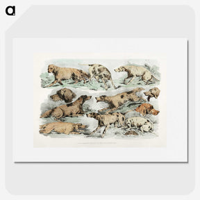 1-27_Sporting-Sketches_picture