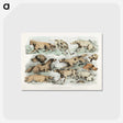 1-27_Sporting-Sketches_postcard