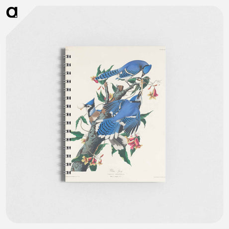 アートメモ帳-Blue Jay from Birds of America
 - アメリカの鳥たち Memo.
