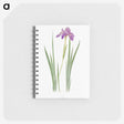 1-27_The-Genus-Iris_memo