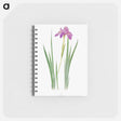 アートメモ帳-Iris Nepalensis from The genus Iris
 - アヤメ属 Memo.