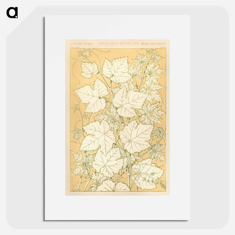 アートポスター-Nineteenth-Century Ornamental Pattern
 - 装飾の文法 Poster.