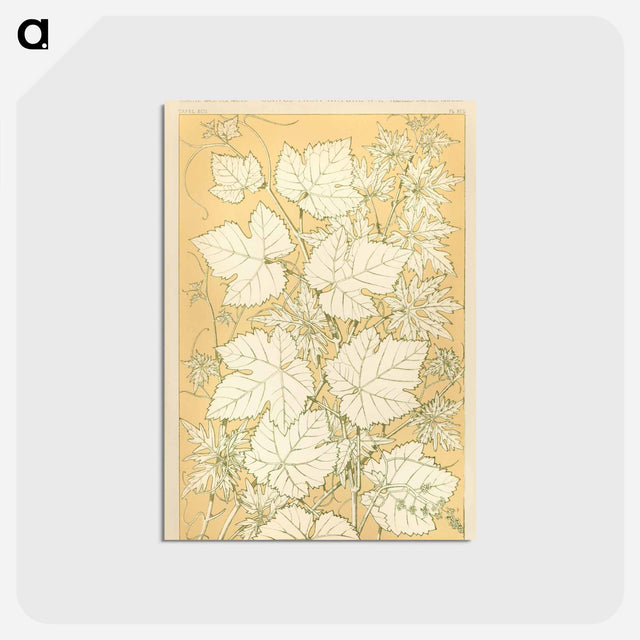 アートポストカード-Nineteenth-Century Ornamental Pattern
 - 装飾の文法 Postcard.