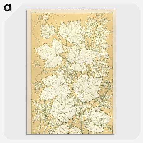 1-27_The-Grammar-of-Ornament_picture-crop