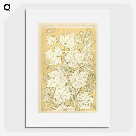 1-27_The-Grammar-of-Ornament_picture