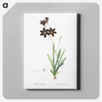 1-27_The-Lilies_canvas