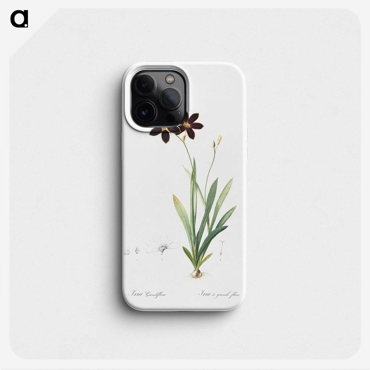 1-27_The-Lilies_phone