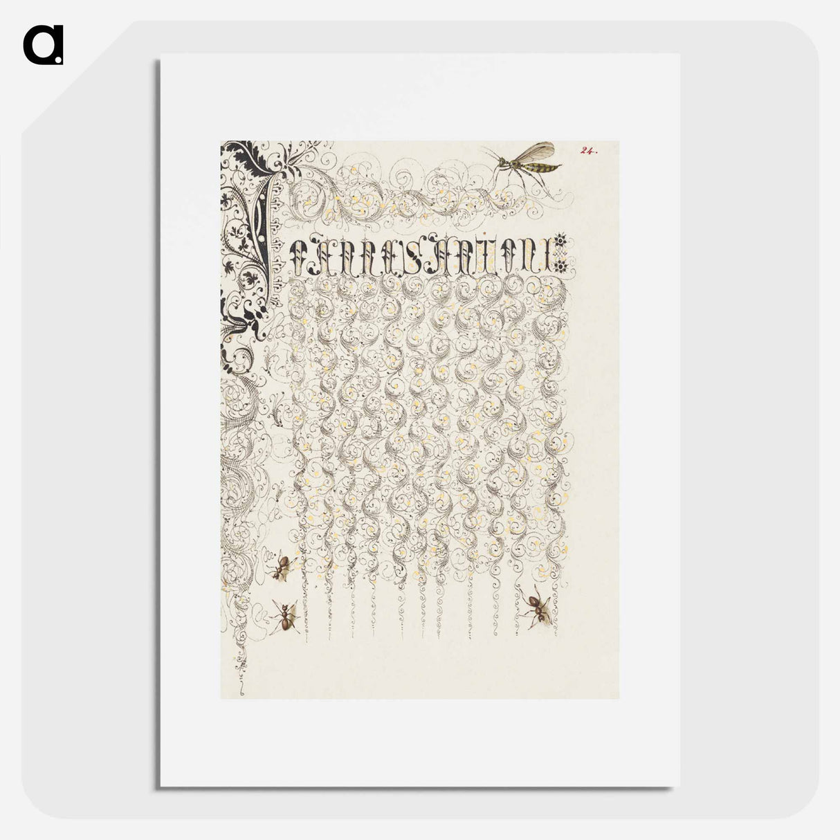 アートポスター-Crane Fly and Ants from Mira Calligraphiae Monumenta
 - 書道のお手本 Poster.
