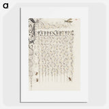 アートポスター-Crane Fly and Ants from Mira Calligraphiae Monumenta
 - 書道のお手本 Poster.