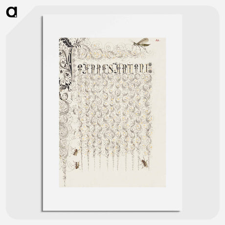 アートポスター-Crane Fly and Ants from Mira Calligraphiae Monumenta
 - 書道のお手本 Poster.