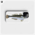 1-27_The-Natural-History-of-British-Fishes_phone