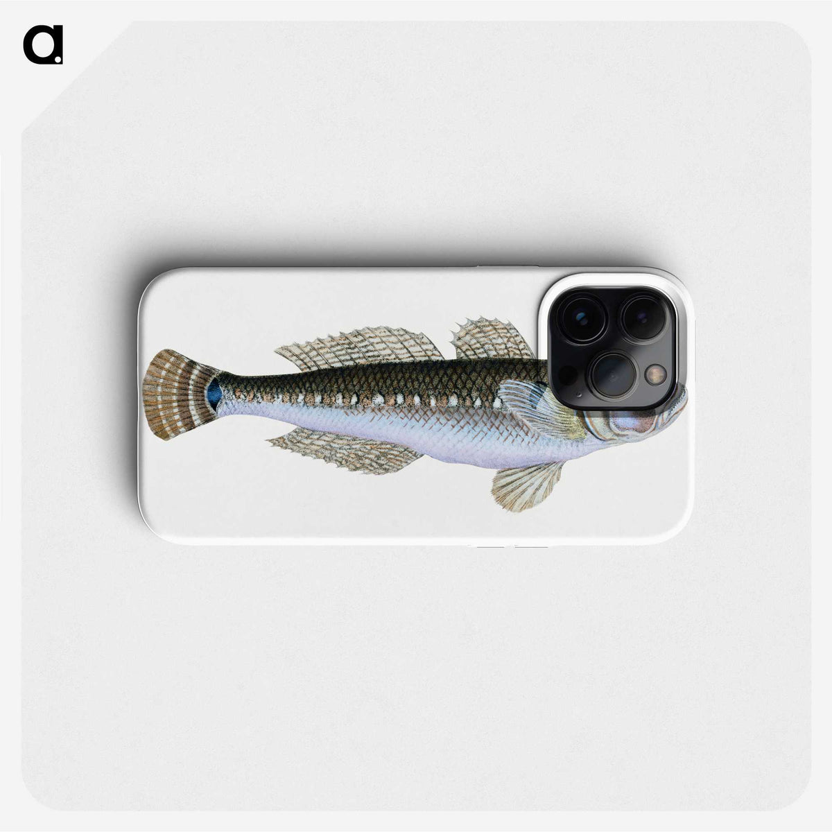 1-27_The-Natural-History-of-British-Fishes_phone