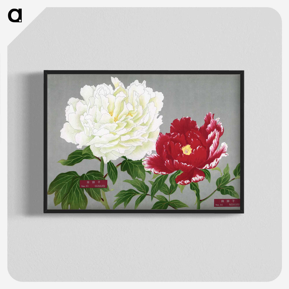 1-27_The-Picture-Book-of-Peonies_blk-crop