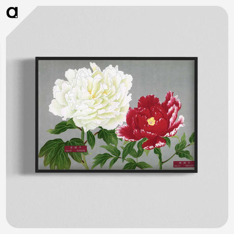 1-27_The-Picture-Book-of-Peonies_blk-crop