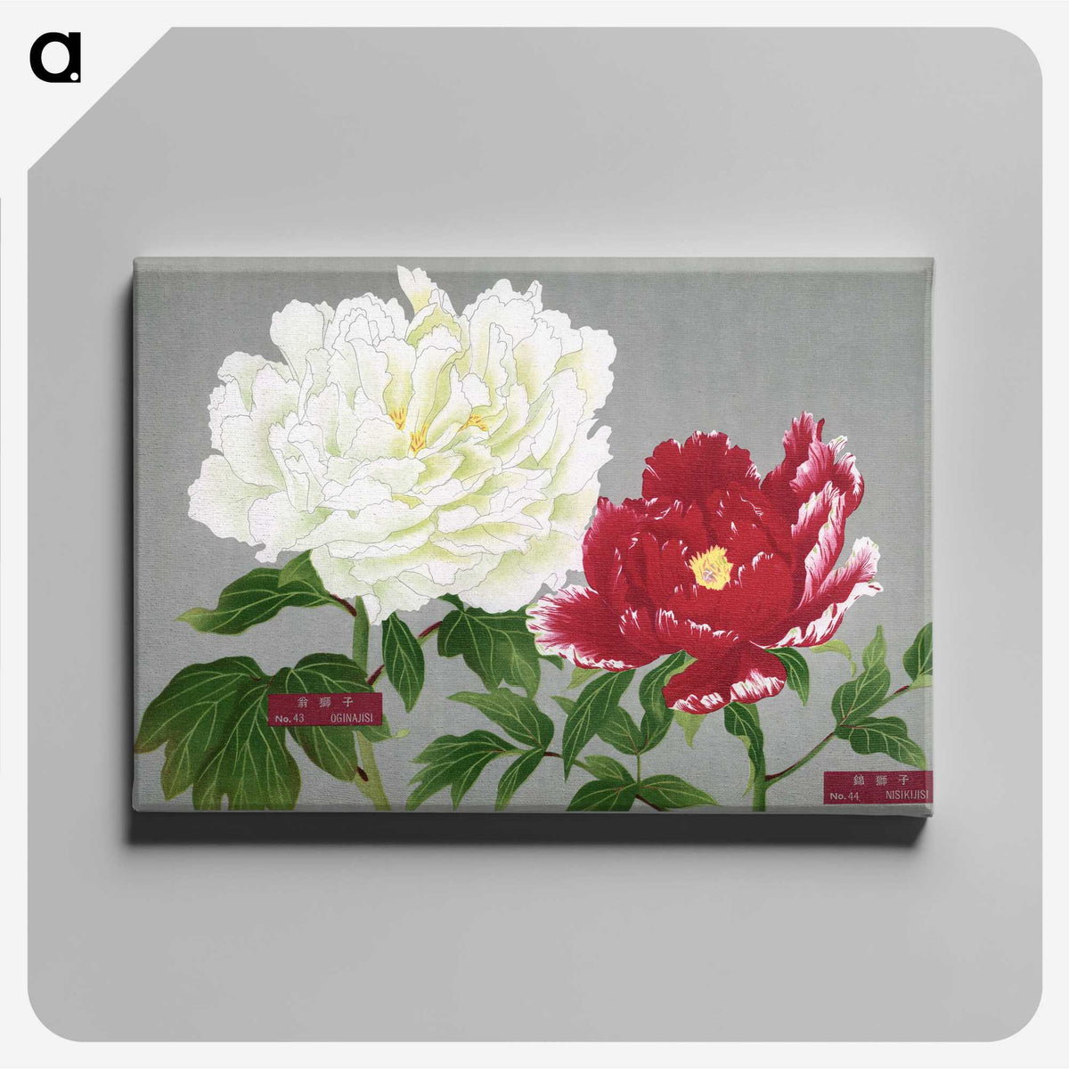 1-27_The-Picture-Book-of-Peonies_canvas