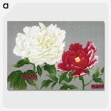 1-27_The-Picture-Book-of-Peonies_picture-crop