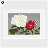 1-27_The-Picture-Book-of-Peonies_picture