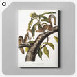 1-27_The-Viviparous-Quadrupeds_canvas