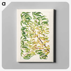 1-27_USDA-Watercolor-Fruit-Painting-Collection_canvas
