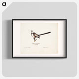 Long-tailed tit - ヴィルヘルム フォン ライト Poster.