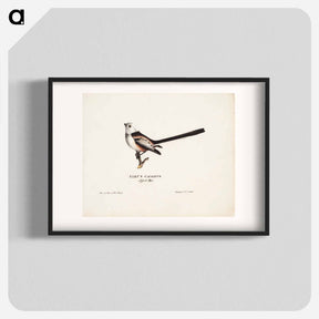 アートポスター-Long-tailed tit - ヴィルヘルム フォン ライト Poster.