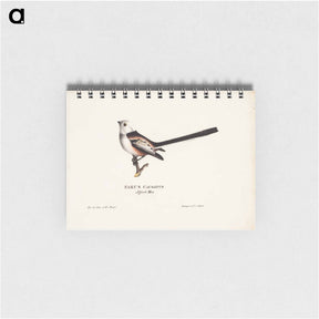 アートメモ帳-Long-tailed tit - ヴィルヘルム フォン ライト Memo.