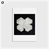 アートポストカード-Wilson Bentley's Snowflake 1225 - ウィルソン ベントレー Postcard.