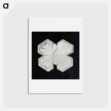 アートポストカード-Wilson Bentley's Snowflake 1225 - ウィルソン ベントレー Postcard.