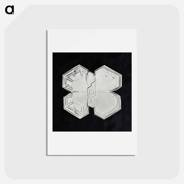 アートポストカード-Wilson Bentley's Snowflake 1225 - ウィルソン ベントレー Postcard.