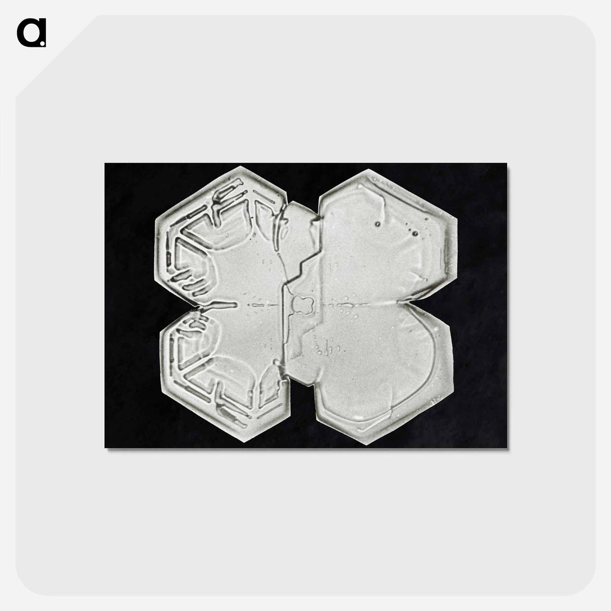 アートポストカード-Wilson Bentley's Snowflake 1225 - ウィルソン ベントレー Postcard.