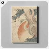 1-27_Yale-University-Art-Gallery_canvas