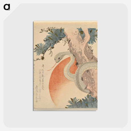 アートポストカード-Snake Coiled around a Pine Tree before the Rising Sun
 - イェール大学アートギャラリー Postcard.