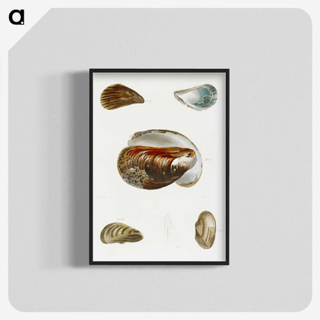 1-27_Zoology-of-New-York_blk-crop