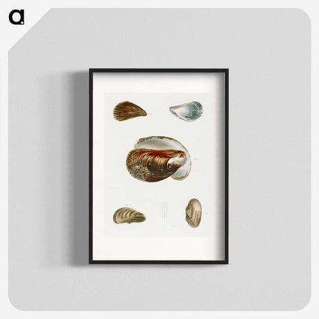 1-27_Zoology-of-New-York_blk