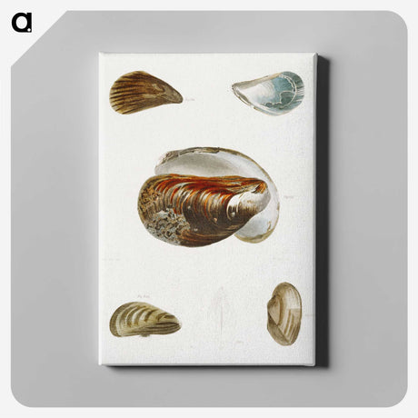 1-27_Zoology-of-New-York_canvas