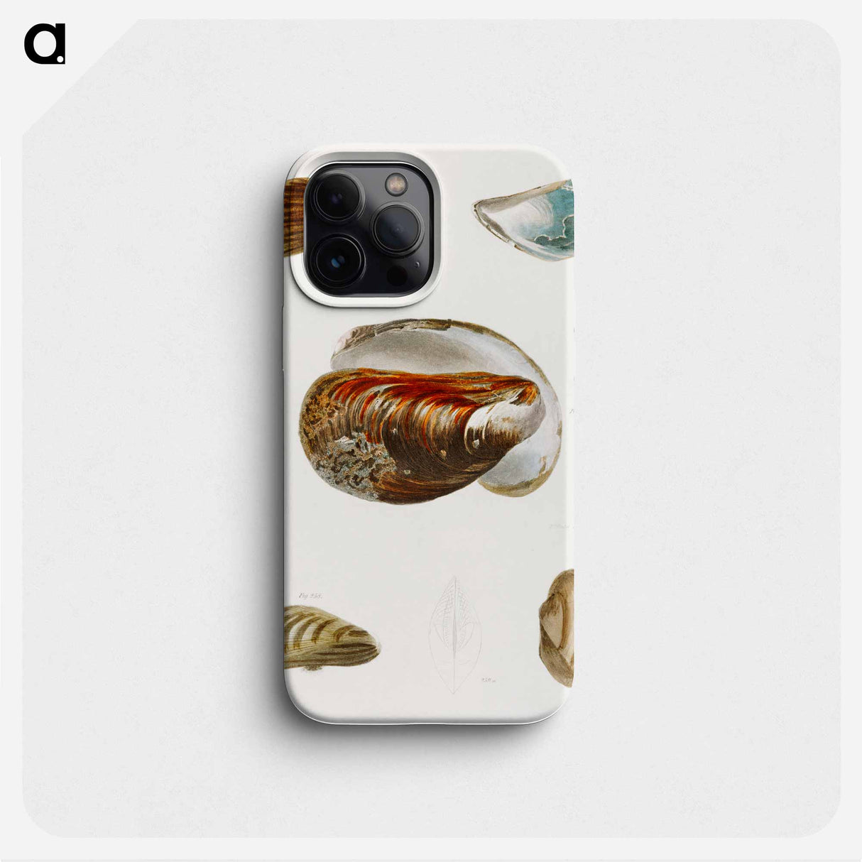 Different types of seashells illustration from Zoology of New York by James Ellsworth De Kay - ニューヨークの動物学 Phone Case.