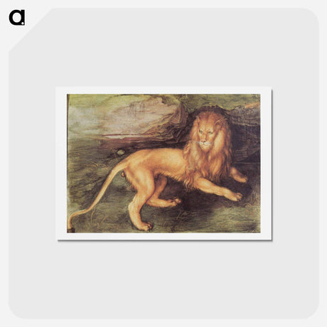 アートポストカード-Albrecht Dürer - アルブレヒト デューラー Postcard.