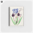 1-28_Anselmus-Boetius-de-Boodt_memo