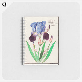 アートメモ帳-Purple iris - アンセルムス ボエティウス デ ブート Memo.