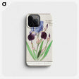 1-28_Anselmus-Boetius-de-Boodt_phone