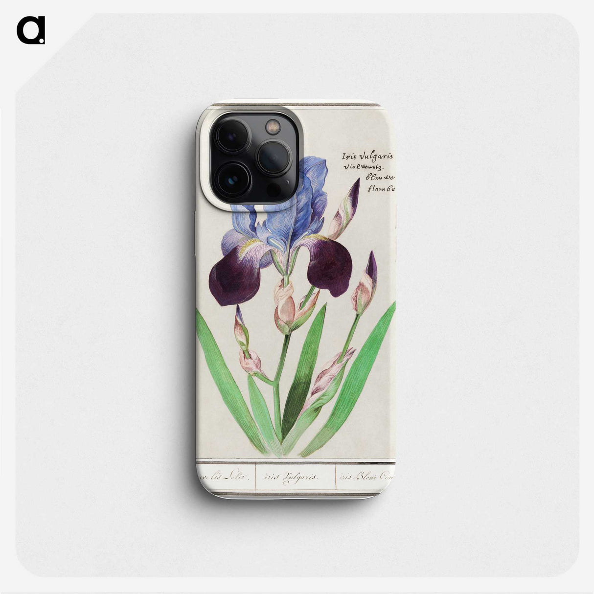 1-28_Anselmus-Boetius-de-Boodt_phone